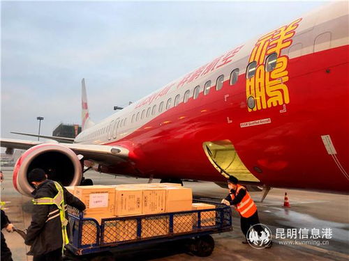云南民航運輸部門全力保障疫情防控物資與飼料生產運輸