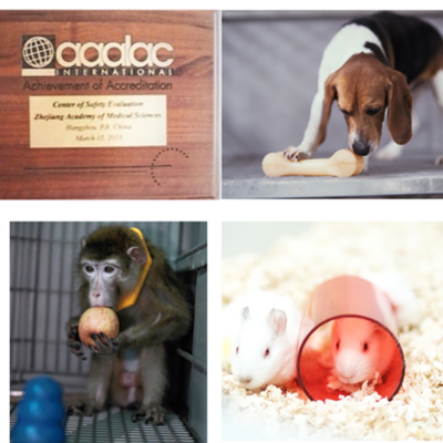 構(gòu)建協(xié)同發(fā)展新格局 動物福利在飼料生產(chǎn)與安全性評價研究中的核心地位